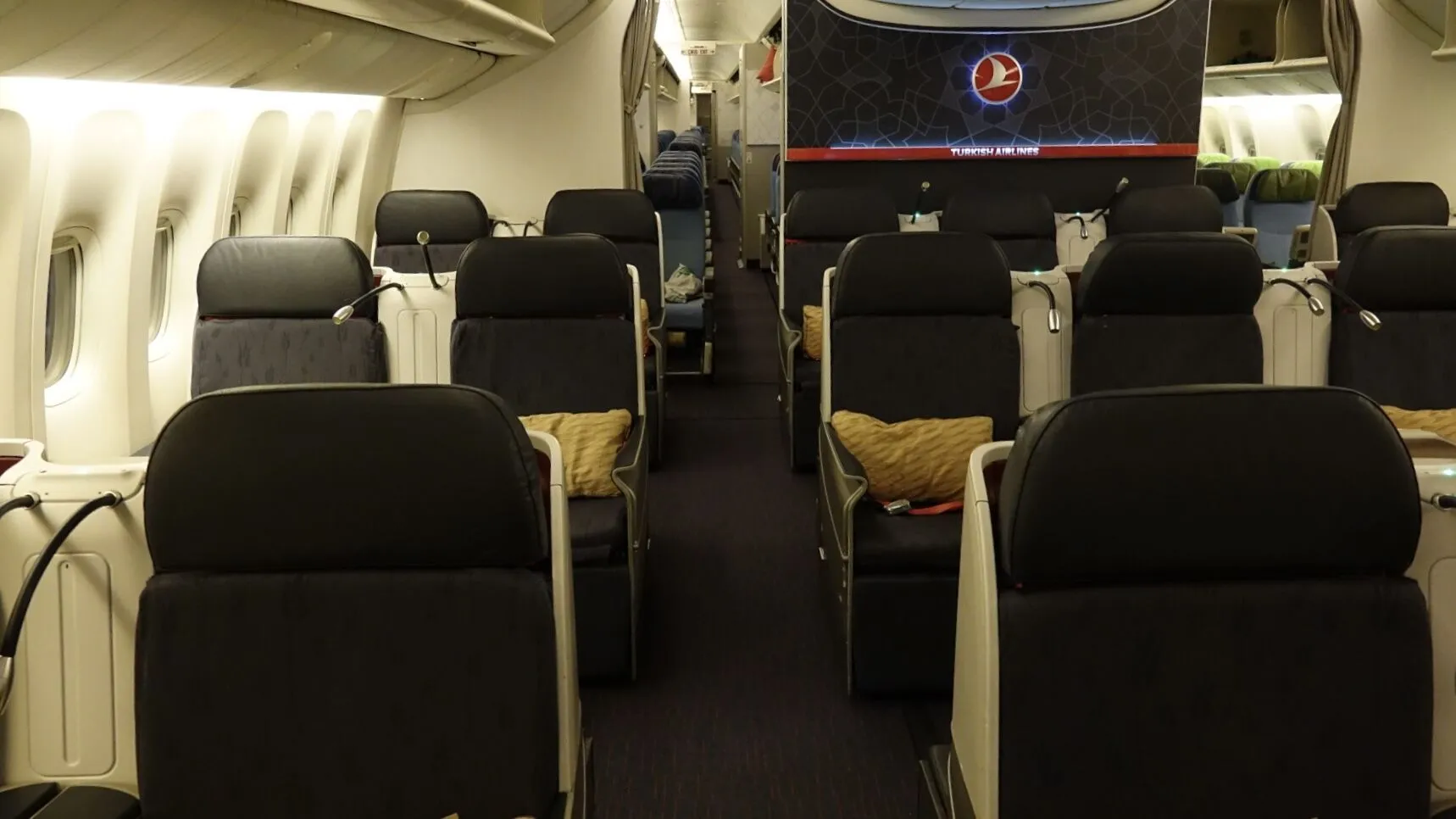 e cigarette turkish airlines Flying with a Cat on Turkish Airlines: A Truly Pet-Friendly Experience —  siberian_reinhardt main image 0