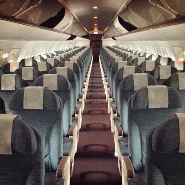 rows of seats in an airplane