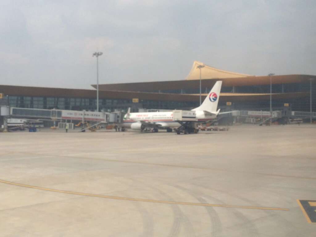 a plane parked in a terminal