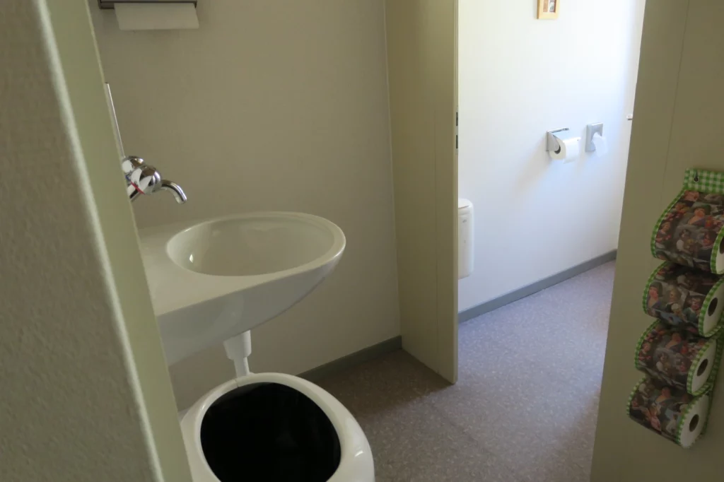 a bathroom with a sink and toilet