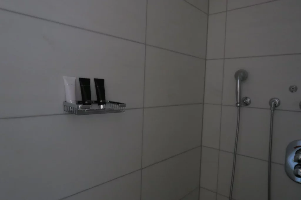 a shower with a shower head and shower head