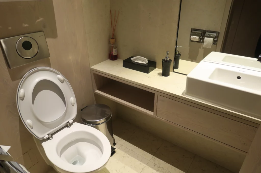 a bathroom with a sink and toilet