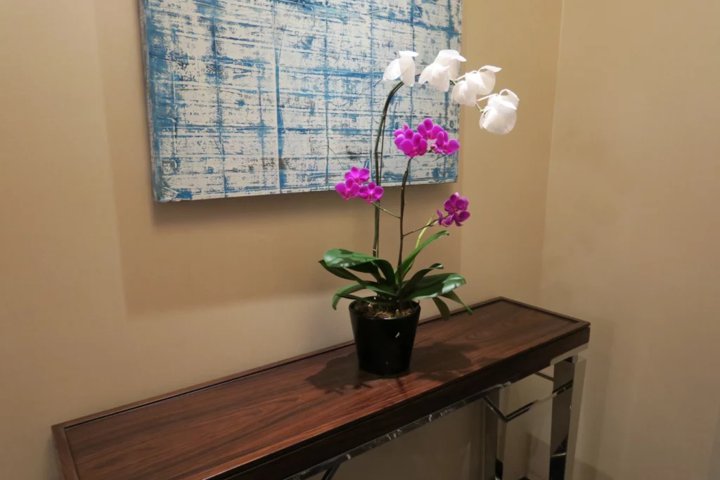 a potted plant with purple flowers on a table