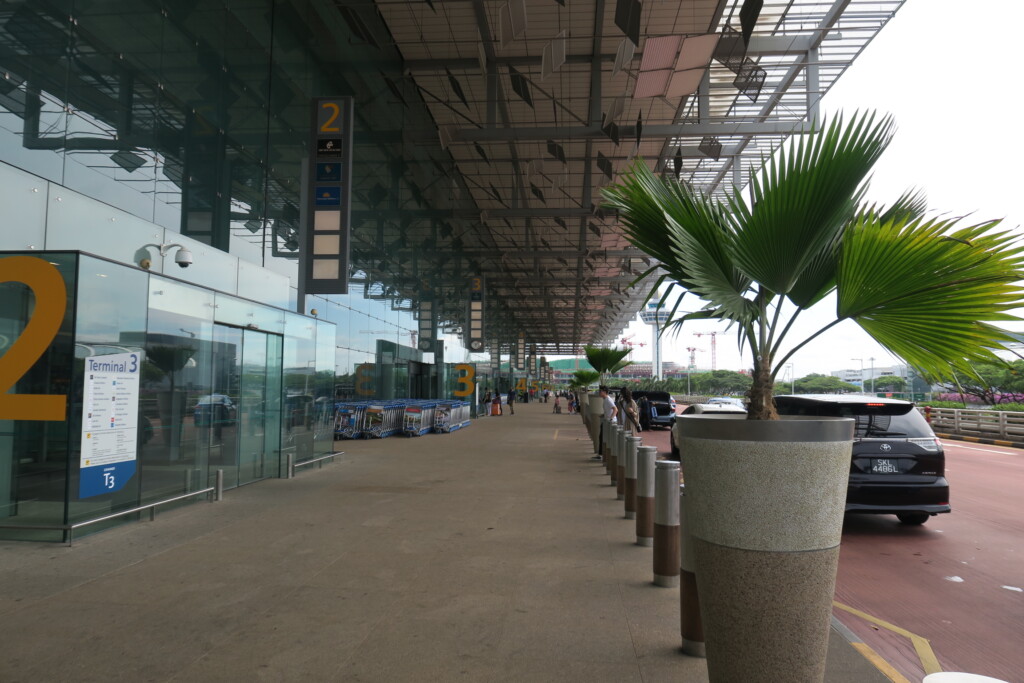 a building with glass walls and a palm tree