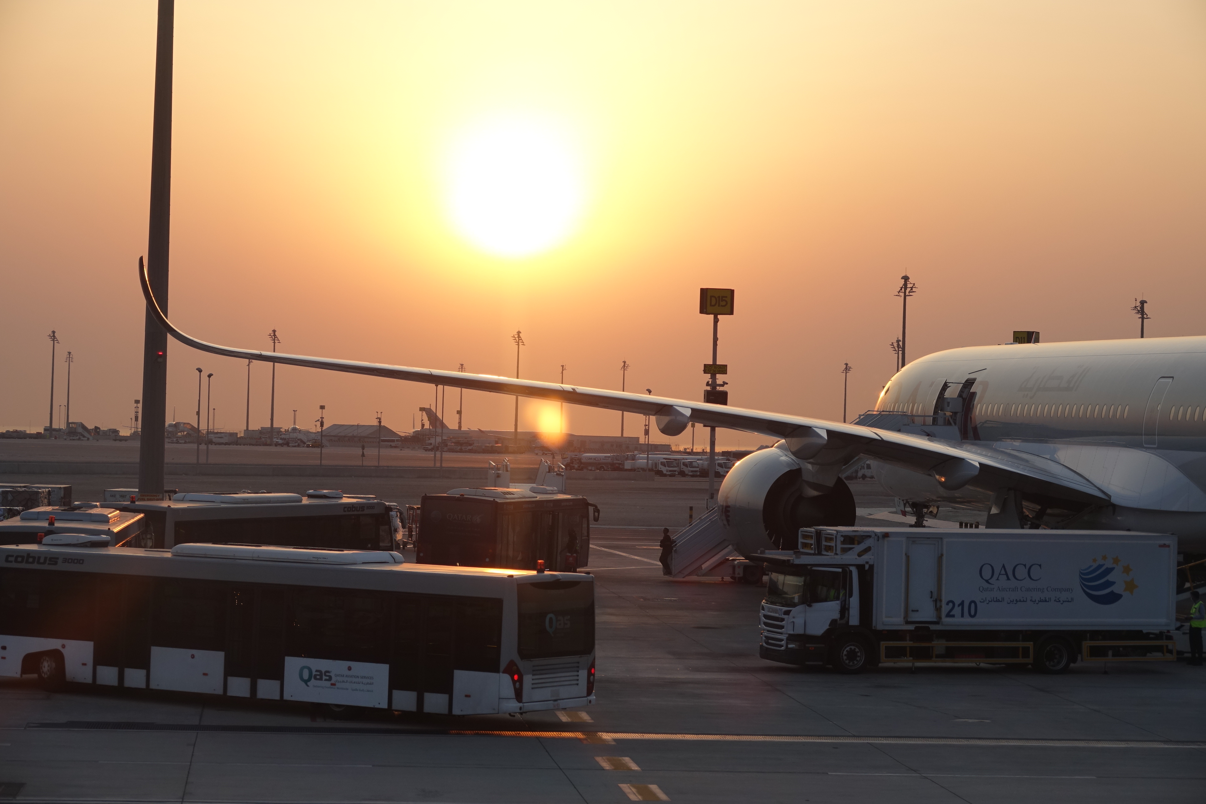 a plane and buses at an airport