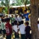 a group of children standing around a tree