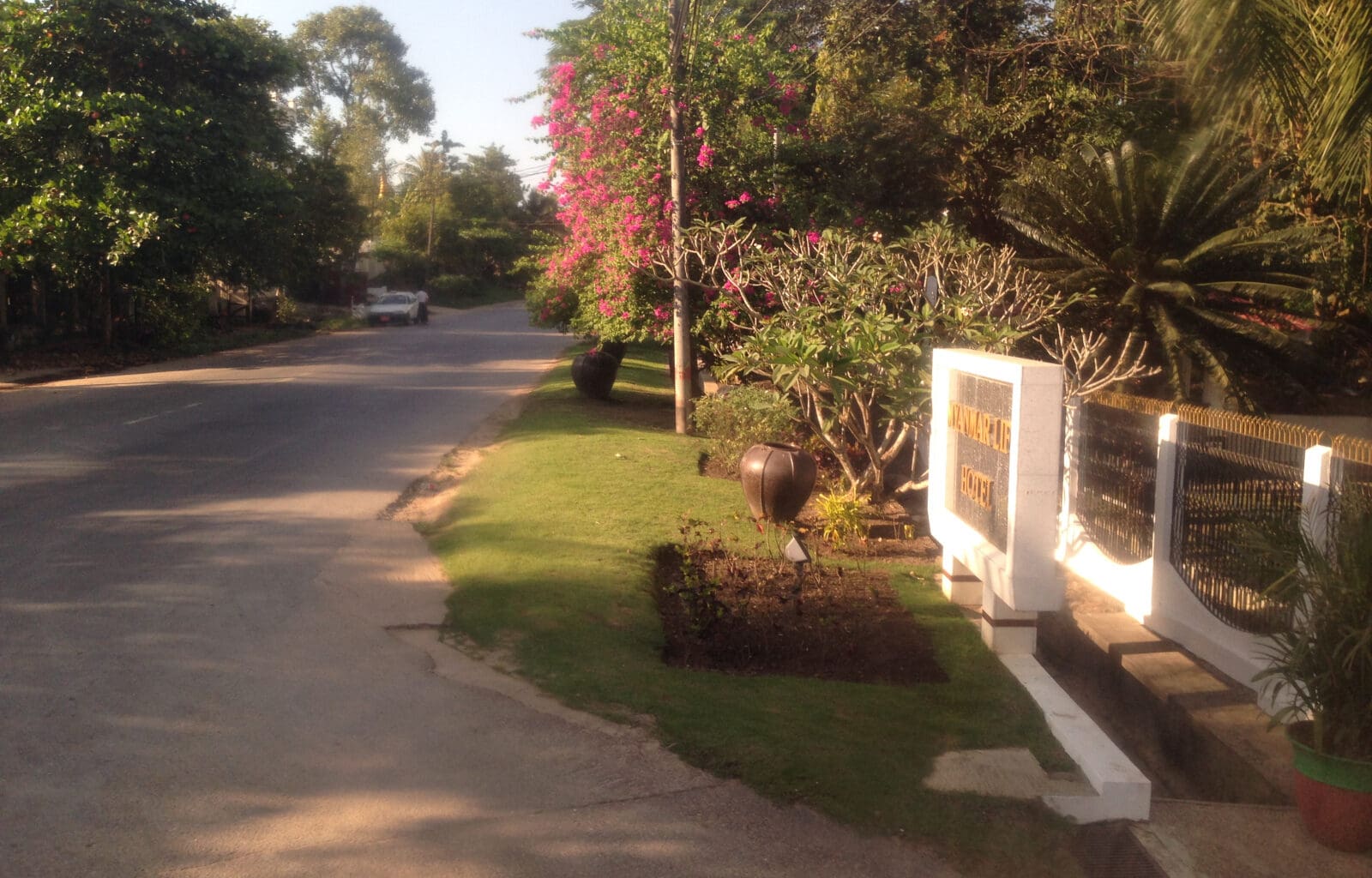 a road with trees and plants on the side