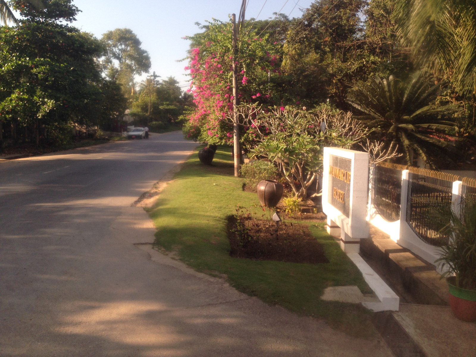 a road with trees and plants on the side