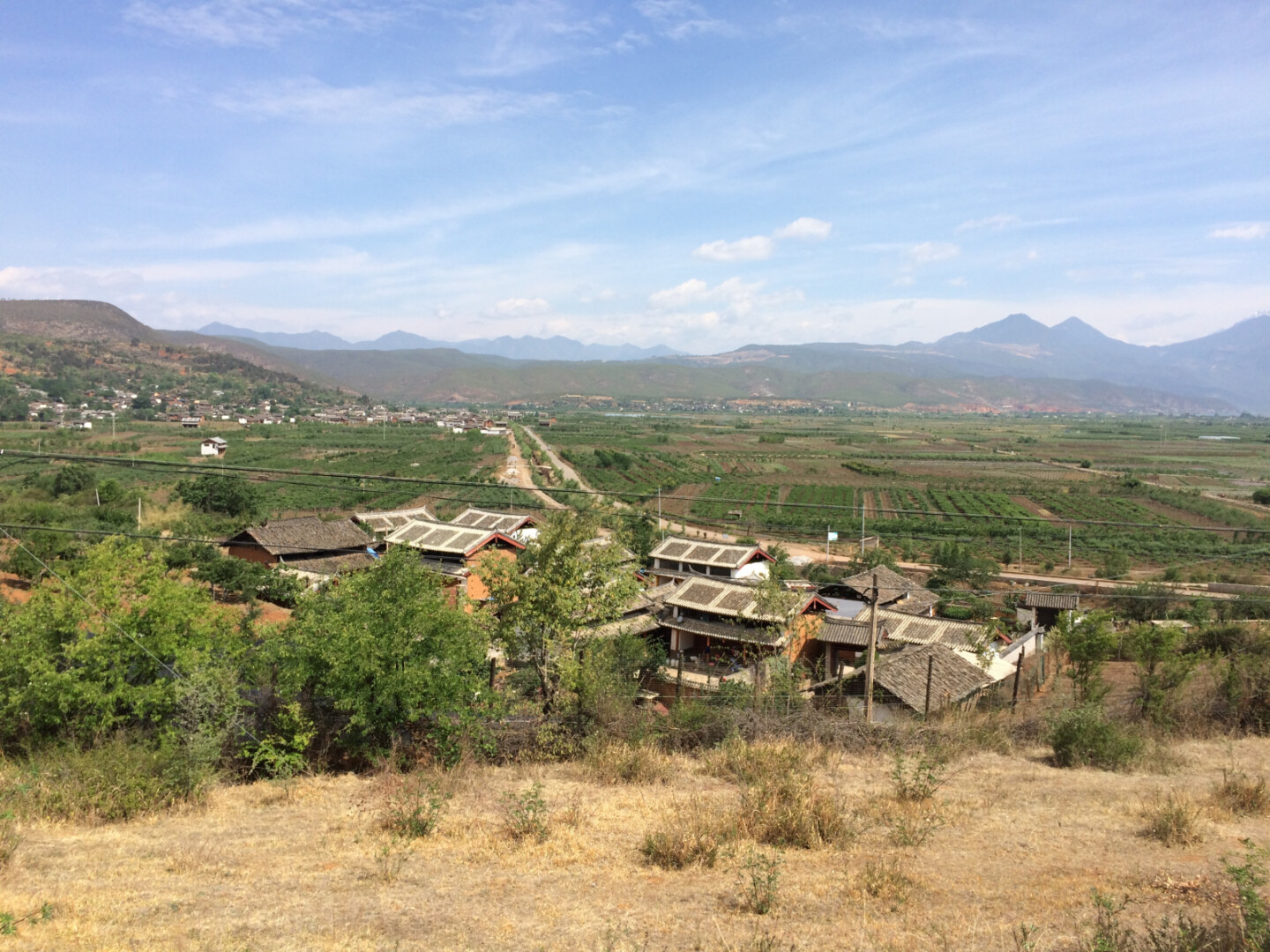 a landscape with houses and trees