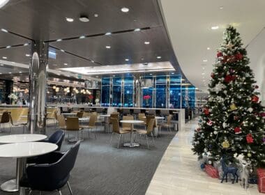 a christmas tree in a room