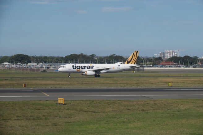 a jet plane on a runway