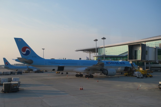 a plane parked at an airport