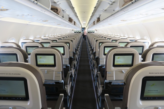 rows of seats in an airplane