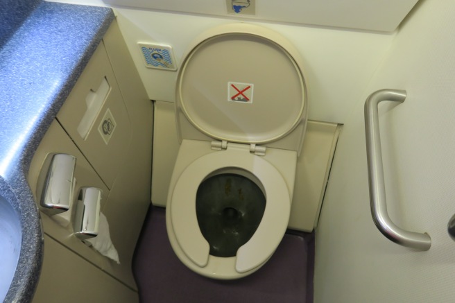 a toilet with a seat open