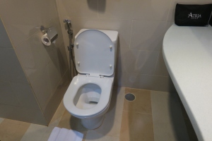 a toilet in a bathroom