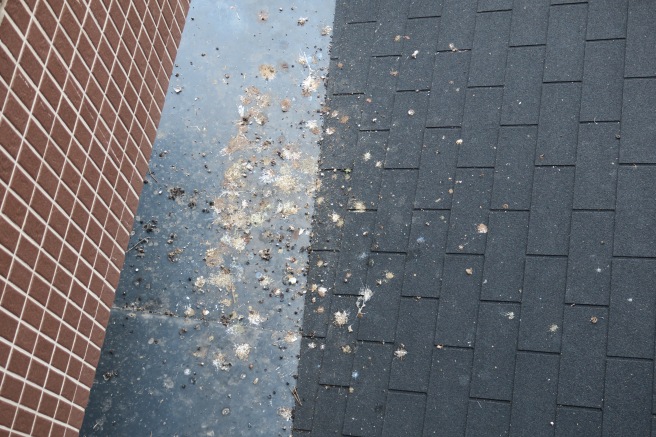 a roof with a puddle of water