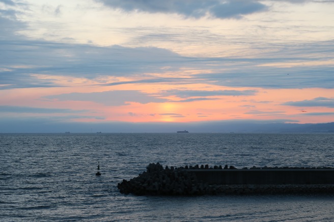 a body of water with a pier in the distance