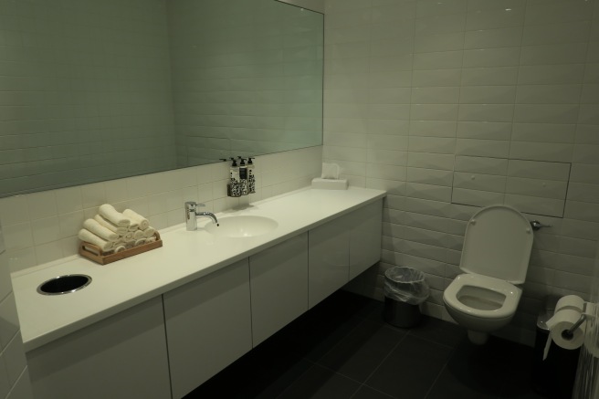 a bathroom with a sink and toilet