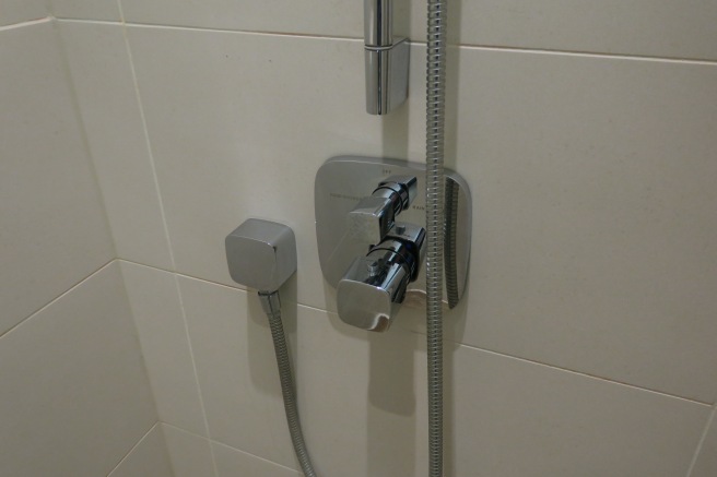 a shower head and hose