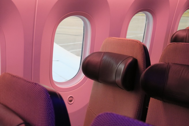 a seat in a plane