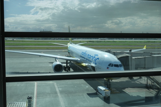 a plane parked at an airport