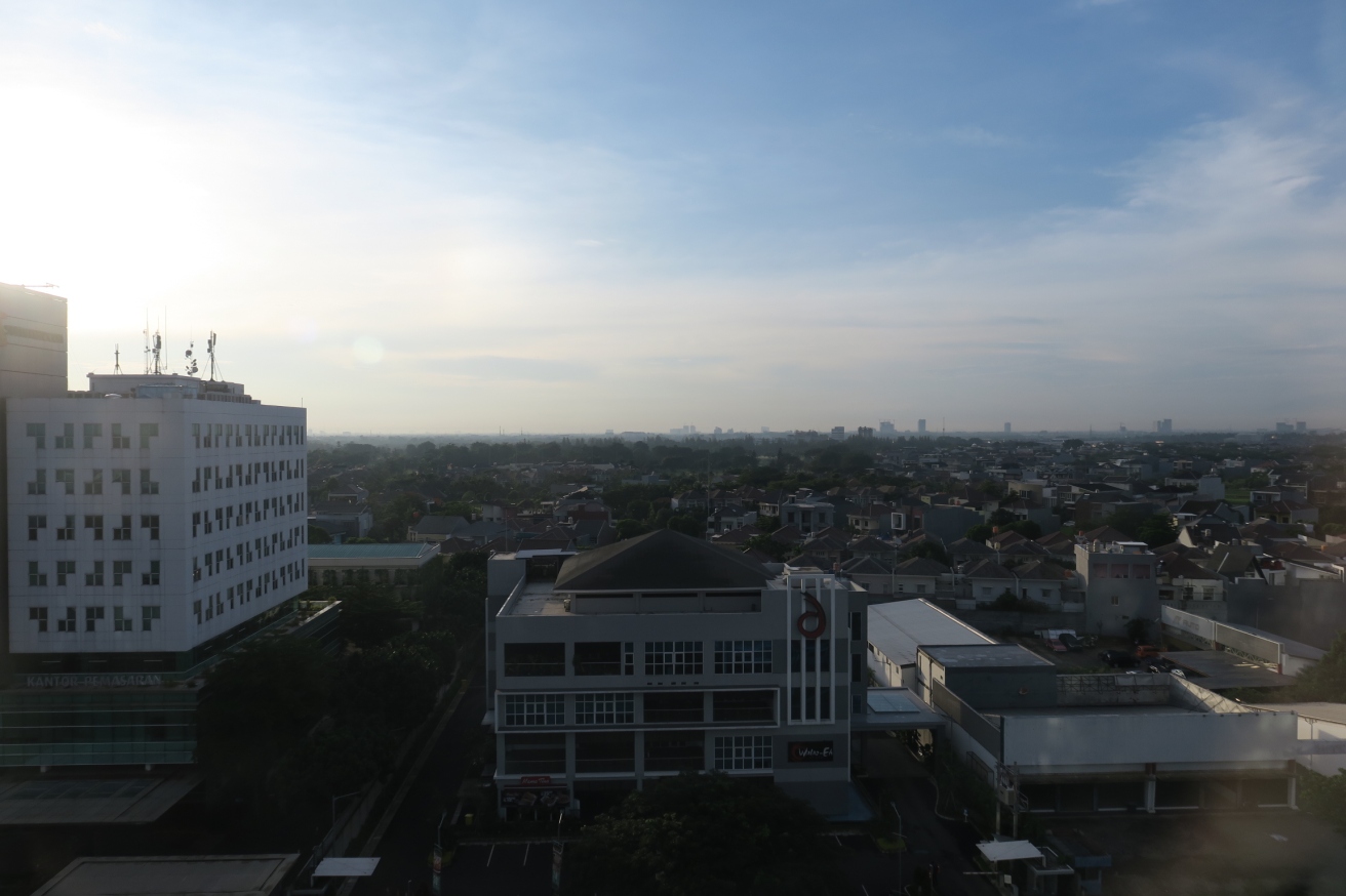 a city with buildings and trees