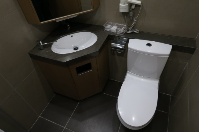 a bathroom with a sink and toilet