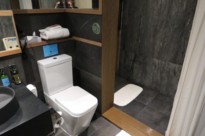 a bathroom with a toilet and a mirror