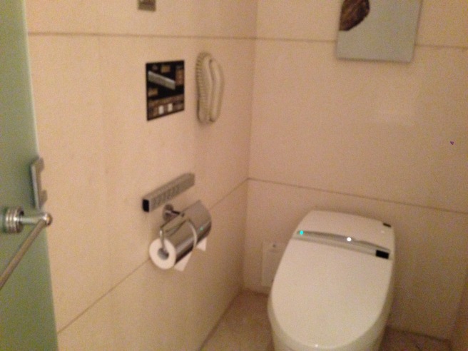 a toilet in a bathroom