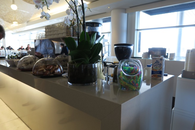 a plant on a counter