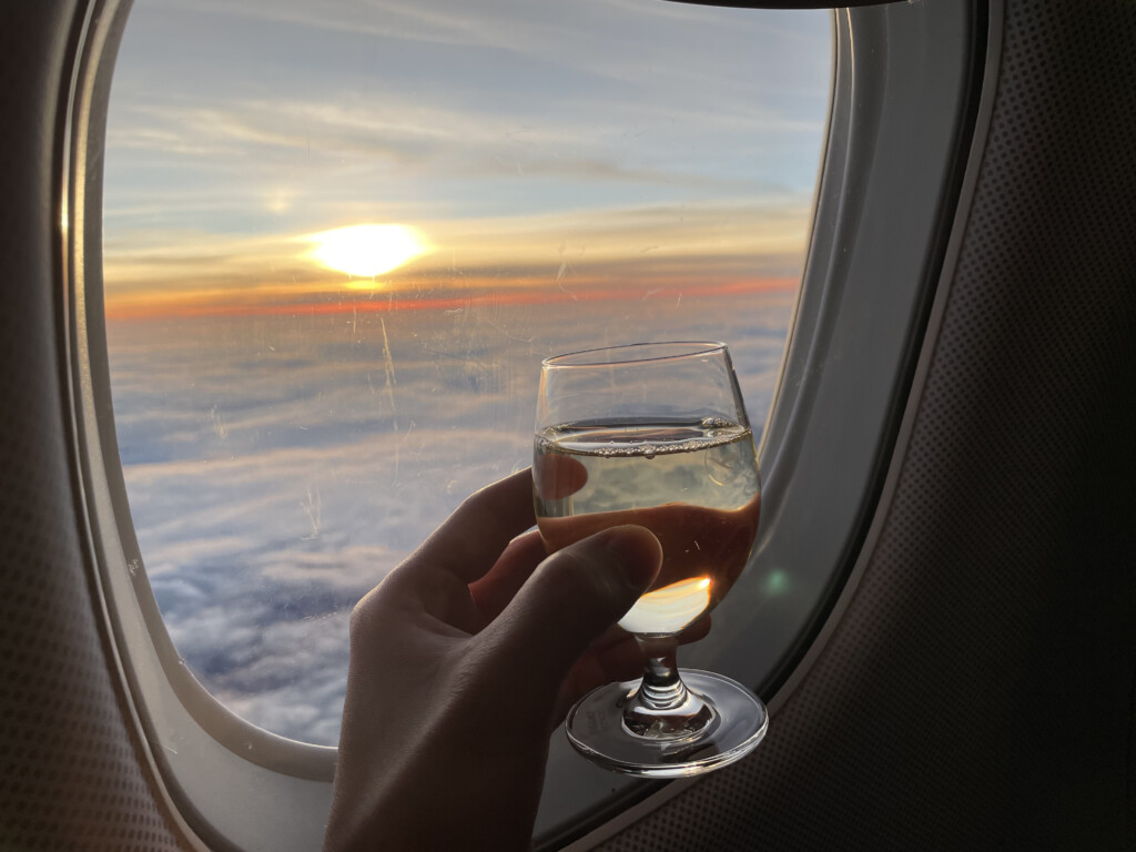 a hand holding a glass of wine looking out a window