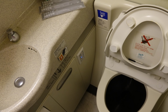 a toilet with a sink and a toilet seat