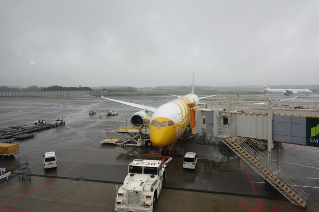 a plane at an airport