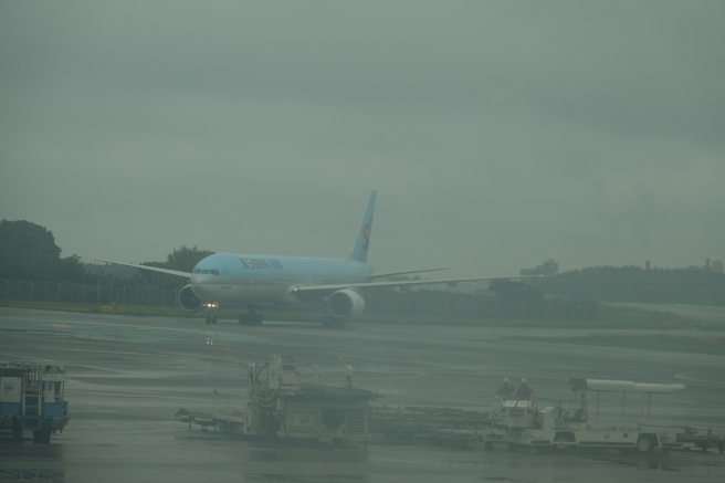 a plane on the runway