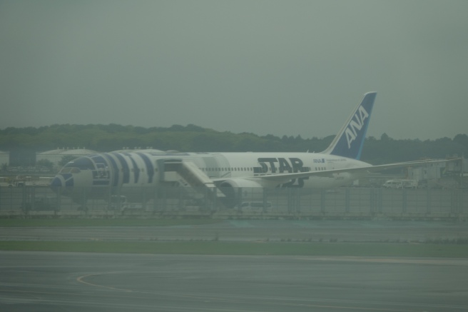 a plane on the runway