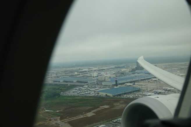 an airplane wing and a city