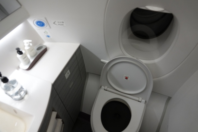 a toilet in a plane