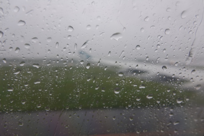 water drops on a window