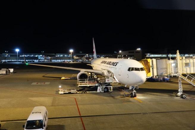 an airplane at an airport