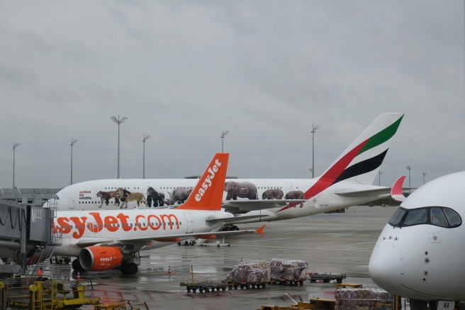 an airplane parked at an airport