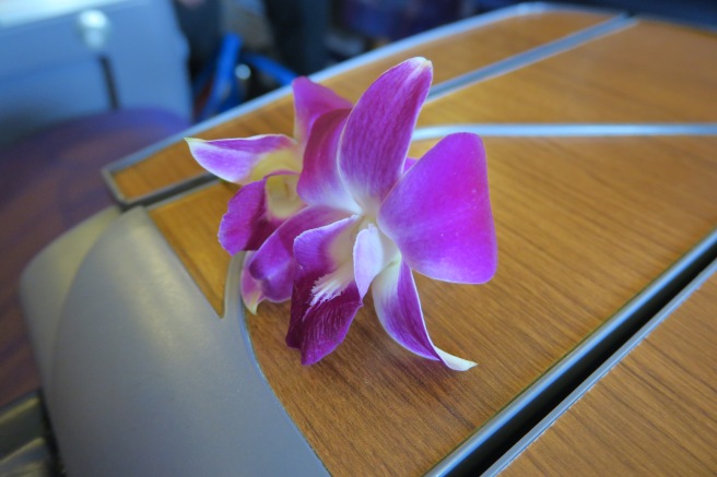 a purple flower on a wood surface