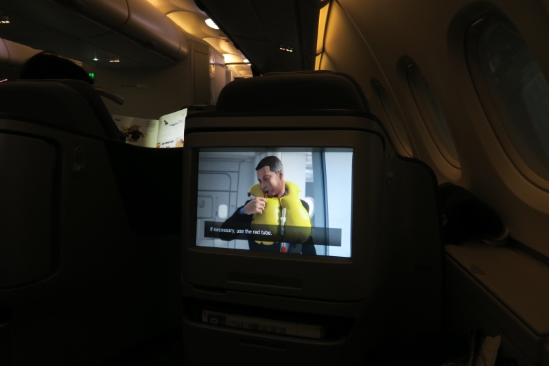 a tv on the back of an airplane