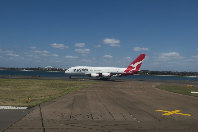 a plane on a runway