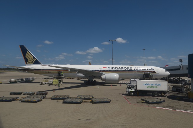 a plane parked at an airport