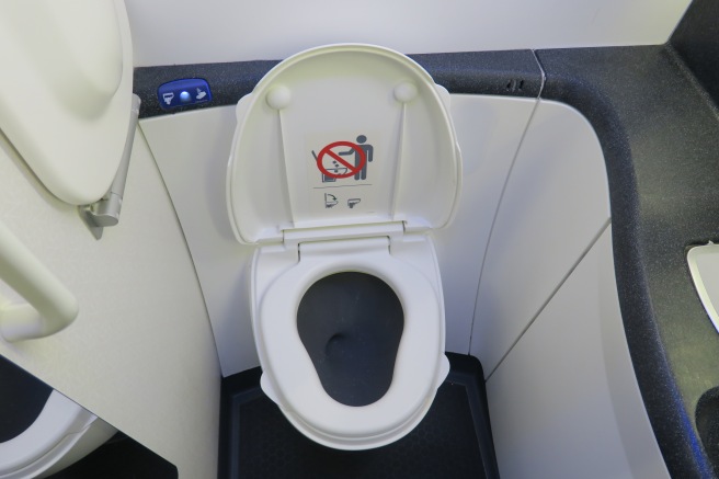 a toilet with a seat open