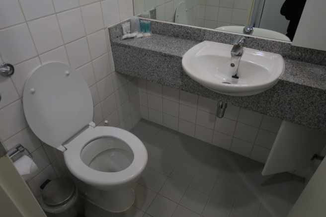 a bathroom with a sink and toilet