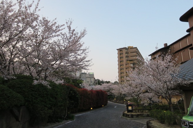 a road with trees and bushes