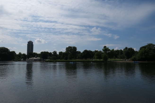 a body of water with trees and buildings in the background