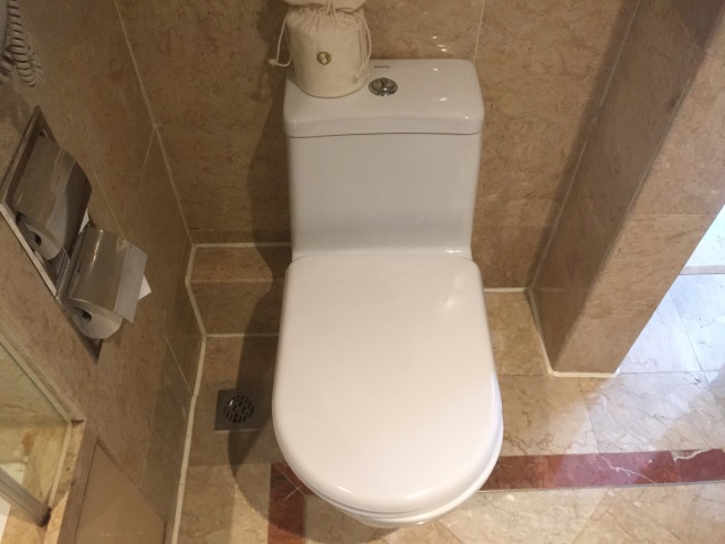 a toilet in a bathroom