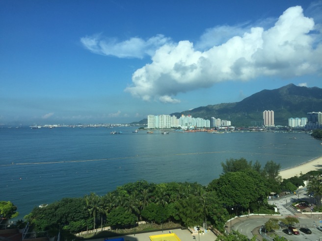 a body of water with buildings and trees